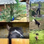 Adventure Farm