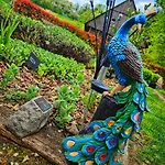 Adventure Farm Store