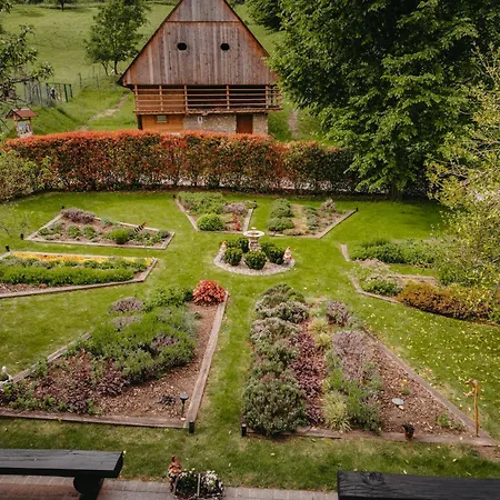 Nocleg ze śniadaniem Adventure Farm *