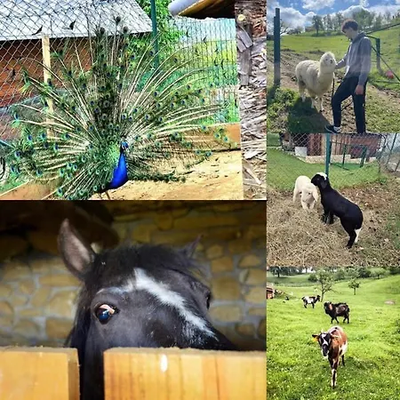 Adventure Farm