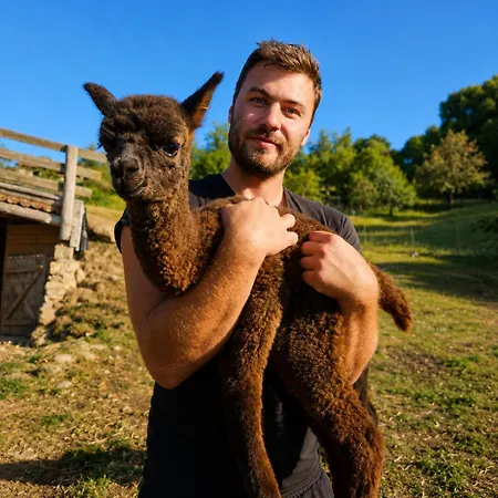 Adventure Farm Oda ve Kahvaltı Store