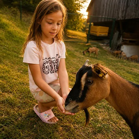 Adventure Farm Store