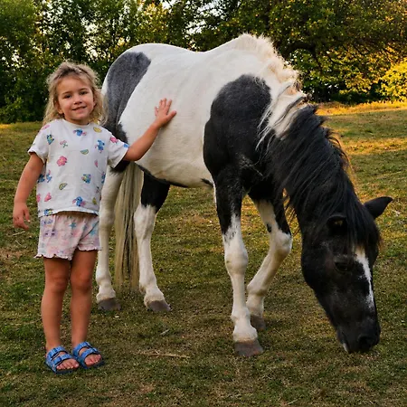 Adventure Farm Store