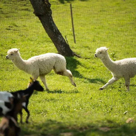 Adventure Farm Store