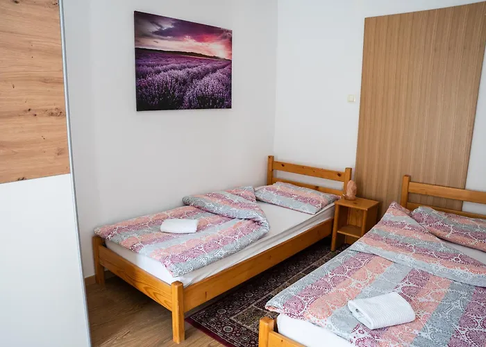 Adventure Farm 住宿加早餐酒店 *