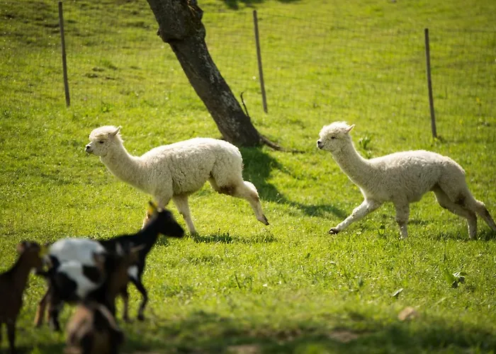 Adventure Farm Štore